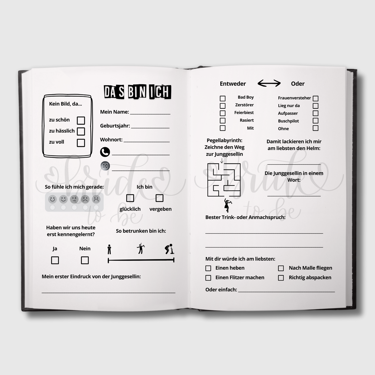Deine Feierzeugen (JGA Edition) - Das Junggesellinnenabschiedsbuch