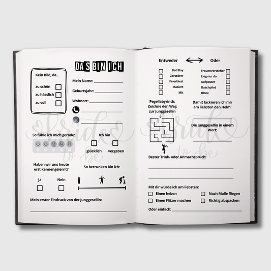 Deine Feierzeugen (JGA Edition) - Das Junggesellinnenabschiedsbuch