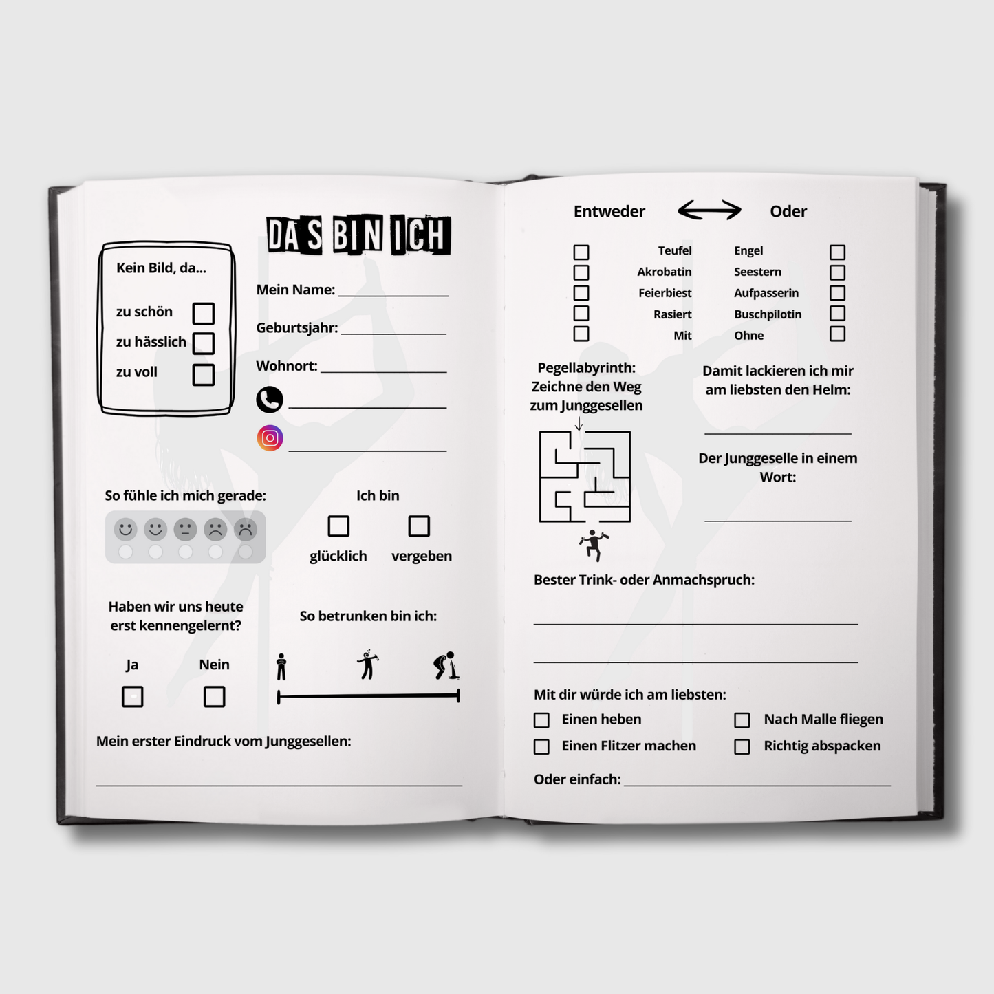 Deine Feierzeugen (JGA Edition) - Das Junggesellenabschiedsbuch