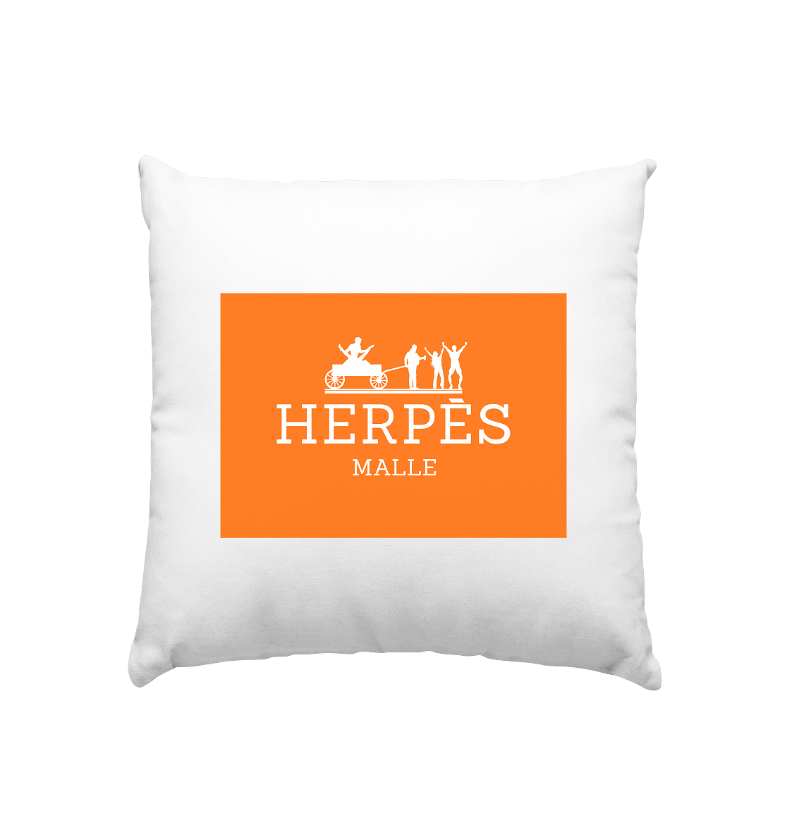 Herpés Malle - Kissen 40x40cm